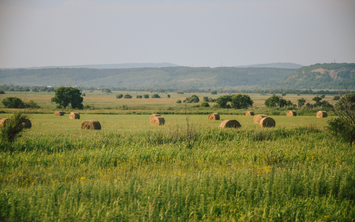 Is Now a Good Time to Buy Rural Land Near Glidden, Wisconsin?